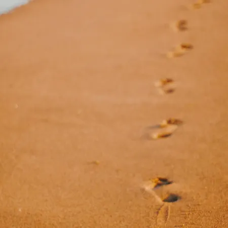 아파트 Lumineux 2 Face A - Fr-1-652-54 생장드몽