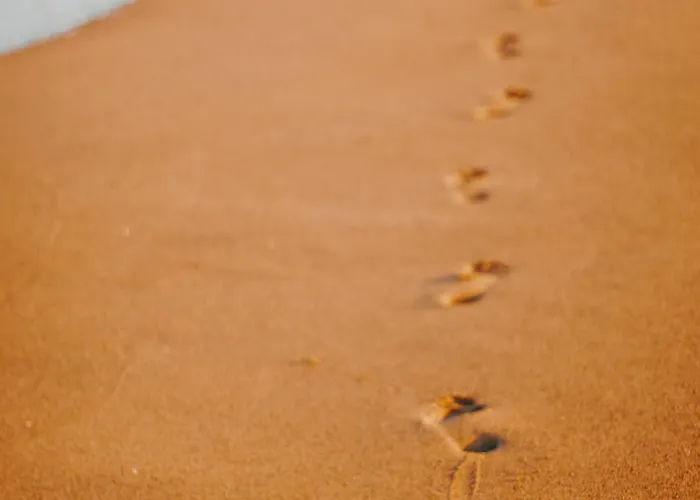 아파트 Lumineux 2 Face A - Fr-1-652-54 생장드몽